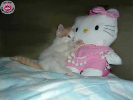tro mignon
